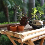 Bed and breakfast Il Giardino Delle Jacaranda Talsano