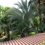 Il Giardino Delle Jacaranda 4* Talsano