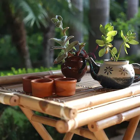 ベッド・アンド・ブレックファスト Il Giardino Delle Jacaranda タルサノ