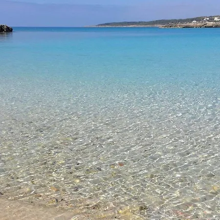 Il Giardino Delle Jacaranda Talsano