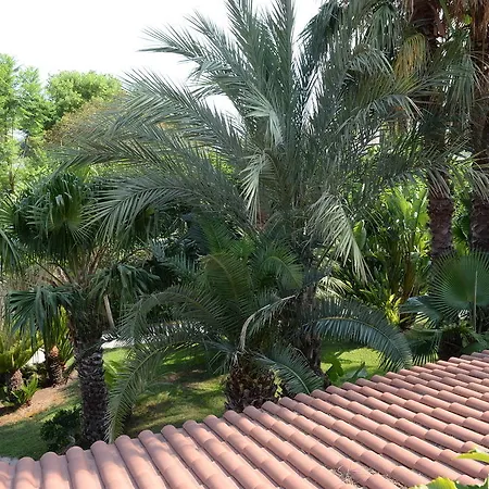 Il Giardino Delle Jacaranda 4* Talsano