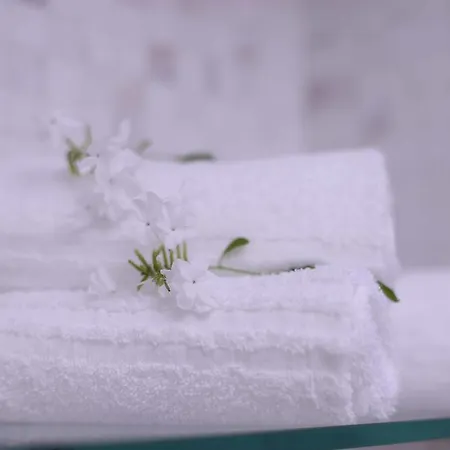 Couette-café Il Giardino Delle Jacaranda Talsano