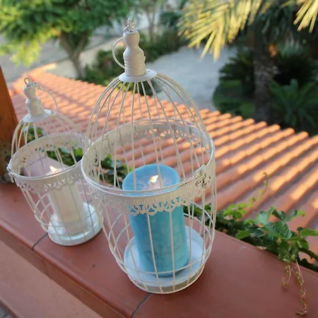 Il Giardino Delle Jacaranda Bed and breakfast Talsano